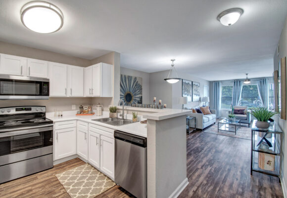 Apartment Kitchen Open Layout 1 Apartment Kitchen Open Layout 1