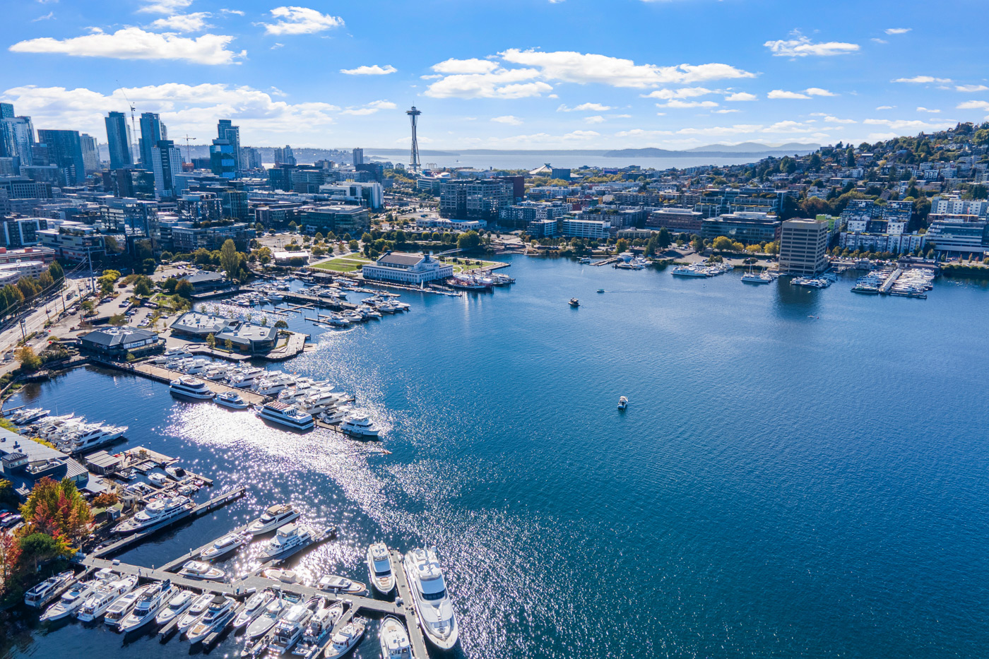 Aerial drone photography of waterfront marina and city skyline